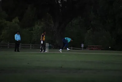 DSC_2408 (Large).JPG